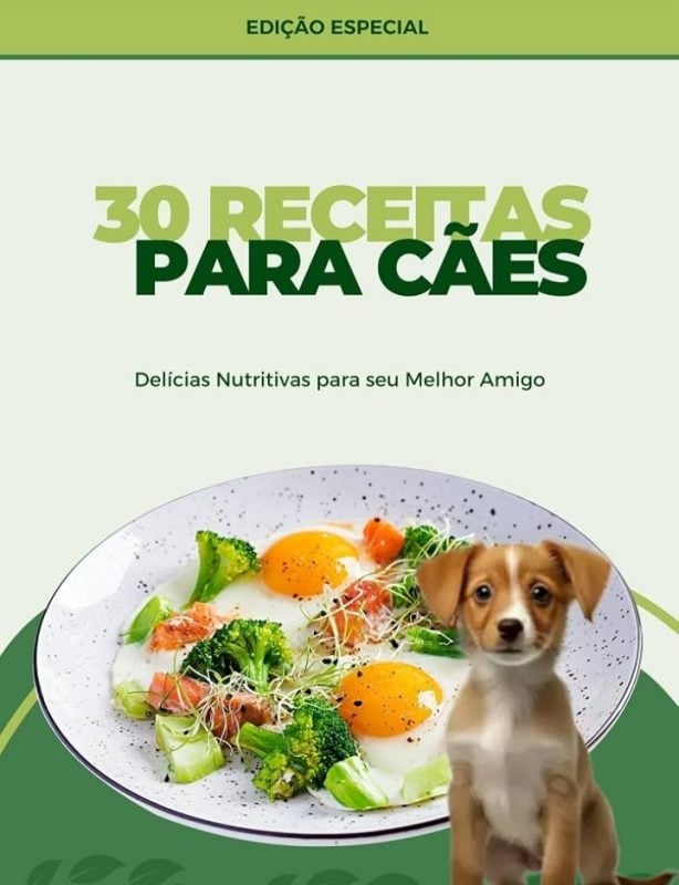 30 receitas saudáveis para seu pet