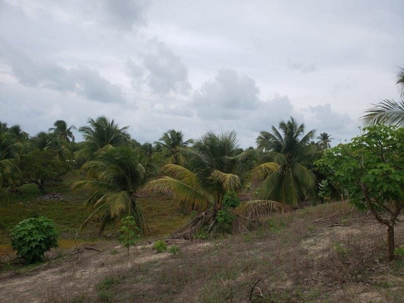 Terreno a venda vizinho a praia do Preá e Jericoacoara — foto 2