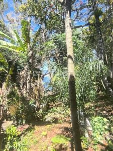 Imovel beira Mar — foto 7
