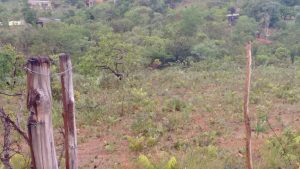 Terreno 30X70 2.100 MT. Escriturado Barato — foto 9