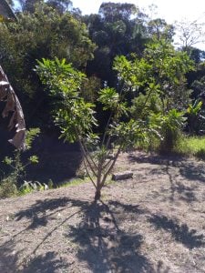 Terreno de 2.220m² Pronto para Construir no Verava, Ibiúna Com Lago, Riacho com Peixes e — foto 19