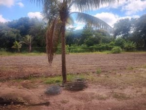 Chácaras Versalhes — foto 10