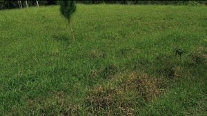 Terrenos a venda — foto 5
