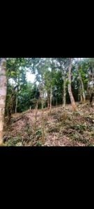 Terreno A Venda — foto 6