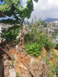 Casa ótima localização — foto 8
