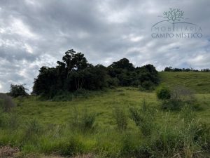 Vendo sítio/chácara em Bueno Brandão MG 4,51 ha 45.100 m² ótimo acesso direto com proprietár — foto 13