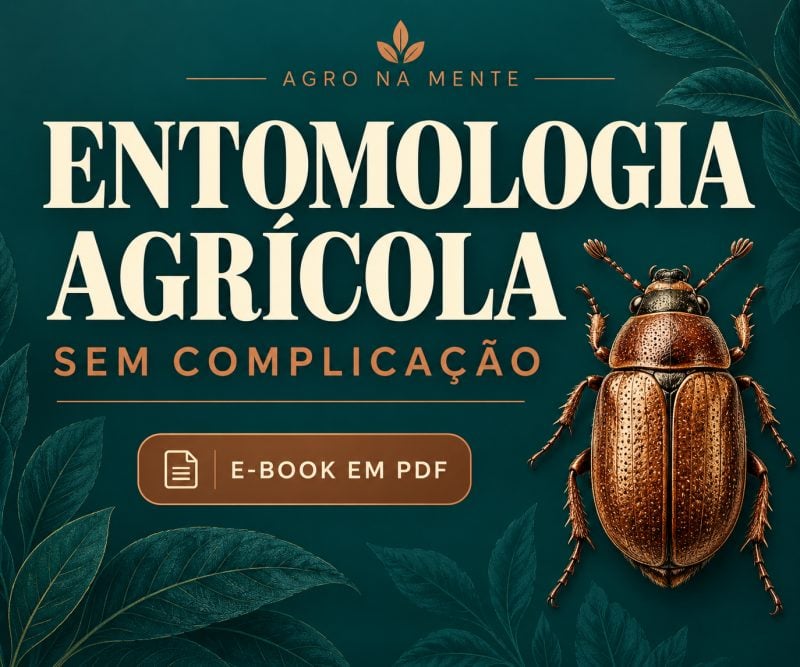 E-book de Entomologia