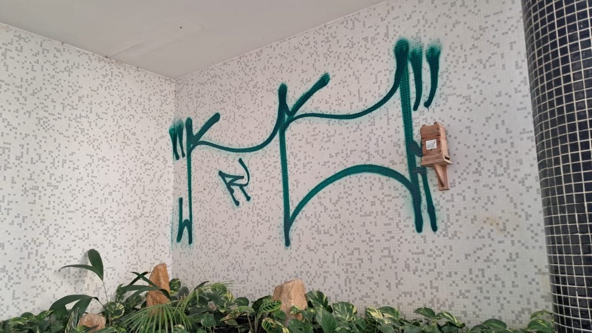 Removemos Pichações — foto 2