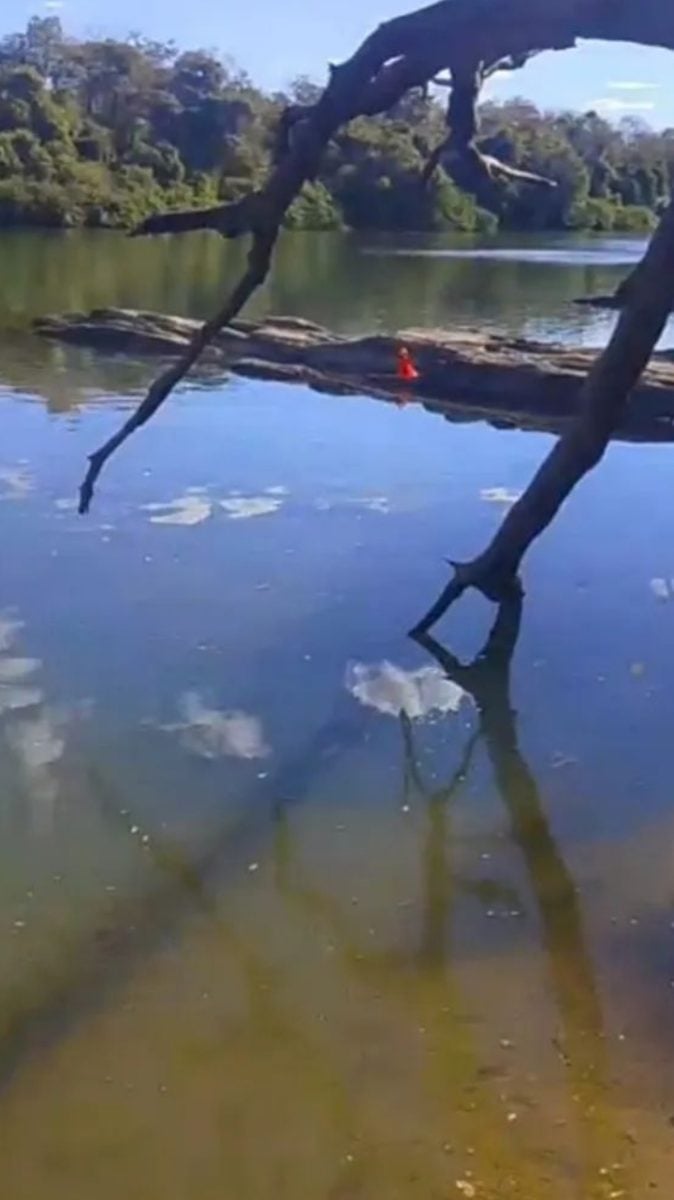 Chácara a venda no município de chapada da Natividade — foto 2