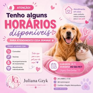 Consultas, vacinas e exames a domicílio — foto 5