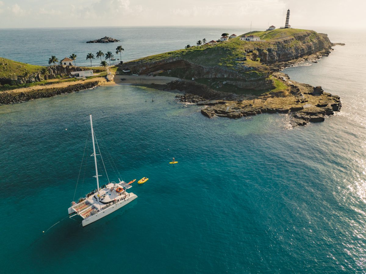 Experiência exclusiva de mergulho em Abrolhos — foto 2