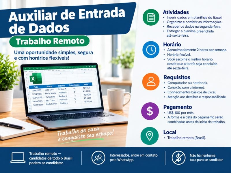 Assistente de Entrada de Dados em Excel Trabalho Remoto