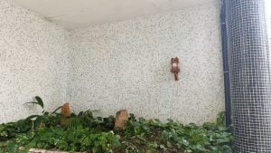Removemos Pichações — foto 3