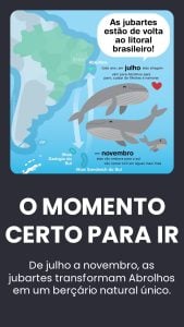 Experiência exclusiva de mergulho em Abrolhos — foto 12
