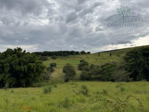 Vendo sítio/chácara em Bueno Brandão MG 4,51 ha 45.100 m² ótimo acesso direto com proprietár — foto 8