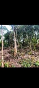Terreno A Venda — foto 9