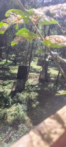 Hashashins Paintball — foto 6