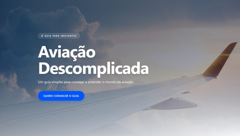 Guia de Aviação para Iniciantes PDF Completo