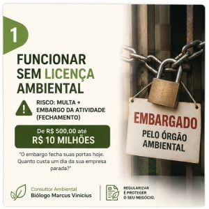 Consultoria ambiental — foto 3