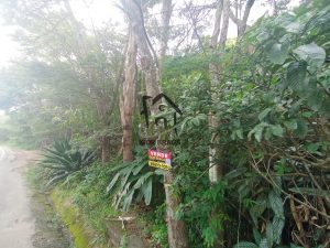 Terreno para Venda em Juiz de Fora, Santo Antônio, 1 dormitório, 1 suíte, 19 vagas — foto 6