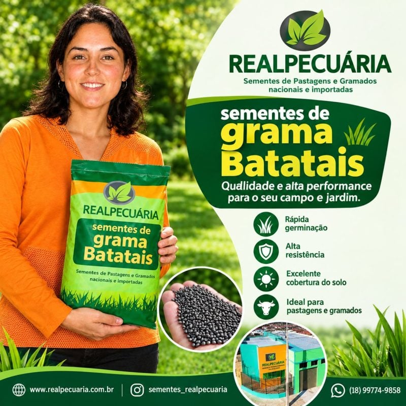 Sementes de grama batatais - faça seu gramado com baixo custo