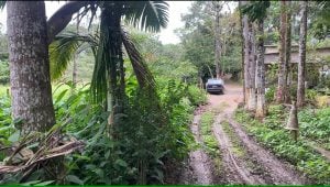 Casa 2 cômodos vendo barato em Juquiá reformada elétrica hidráulica pintura aceito carro — foto 15