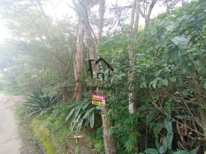 Terreno para Venda em Juiz de Fora, Santo Antônio, 1 dormitório, 1 suíte, 19 vagas — foto 8