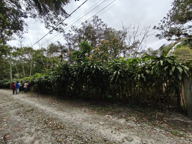 Terreno/chácara limpo na praia de Paranaguá na ilha dos Valadares pronto para construir