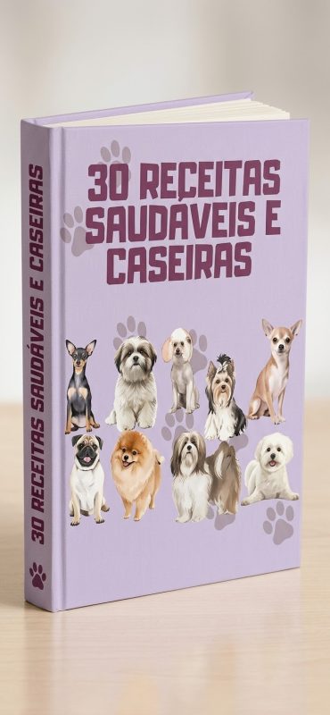 30 Receitas Saudáveis E Caseiras