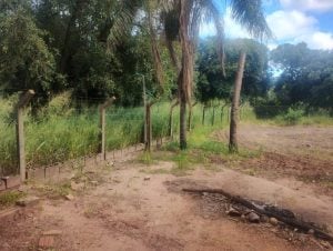 Chácaras Versalhes — foto 7