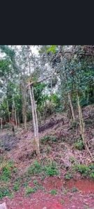 Terreno A Venda — foto 10
