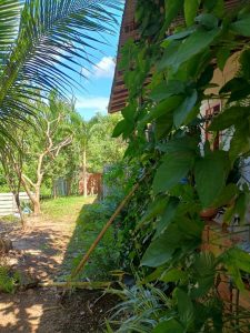 Oportunidade em iranduba r$ 80.000,00 (à vista não financia) — foto 5