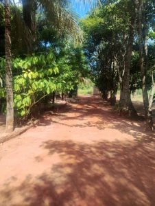 Chácaras Versalhes — foto 3