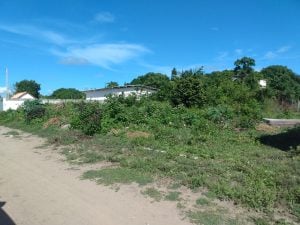 Terrenos de 15x30 cada. — foto 10