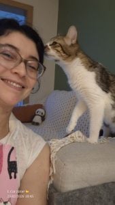 Cat Sitter (Babá de Gatos) — foto 6