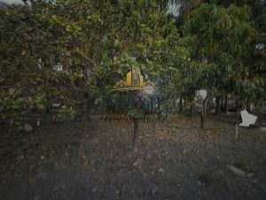 Chácara A Venda — foto 10