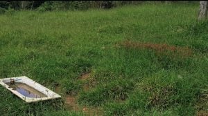 Terrenos a venda — foto 4