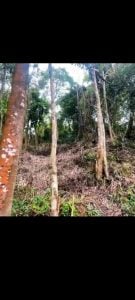 Terreno A Venda — foto 8