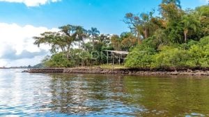 Ilha particular exclusiva — foto 13