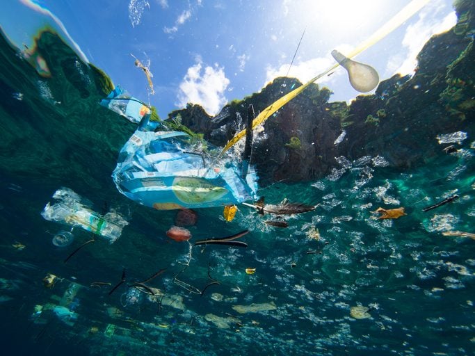 Palestras sobre reciclagem de Plásticos — foto 2