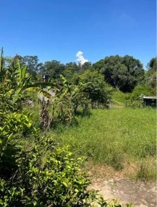 VENDO SÍTIO EM QUEIMADOS ÁREA RURAL 1.080m2 — foto 4