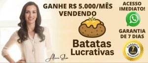 Curso Batatas Recheiadas Lucrativas — foto 3
