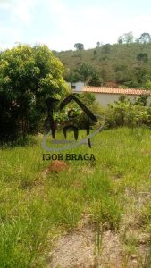 Chácara para Venda em Juiz de Fora, Caeté, 2 dormitórios, 1 banheiro, 1 vaga — foto 4