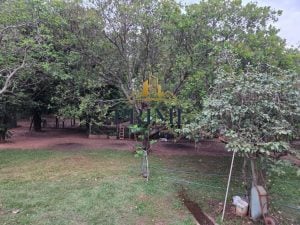 Chácara A Venda — foto 4