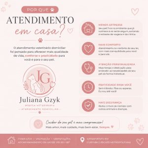 Consultas, vacinas e exames a domicílio — foto 4
