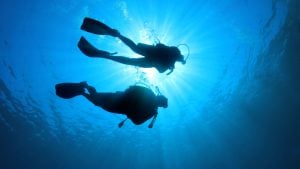 Experiência exclusiva de mergulho em Abrolhos — foto 4