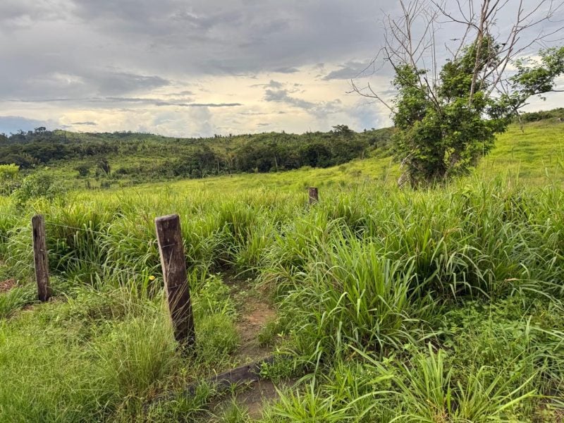 Propriedade Rural à Venda