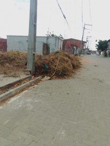Pequenas Reformas e Limpeza de Terreno. — foto 5