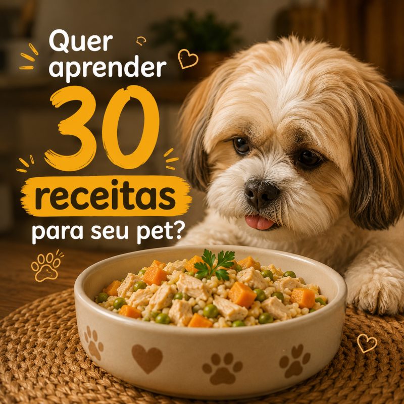 30 Receitas saudáveis para seu pet