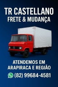 Tr Castellano Frete E Mudanças — foto 8